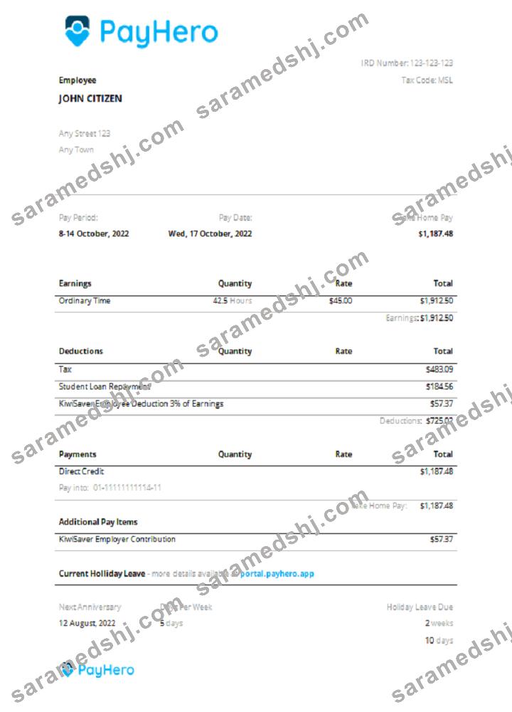 USA PayHero financial company pay stub